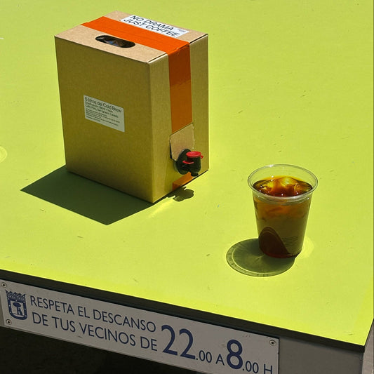 COLD BREW BAG IN BOX